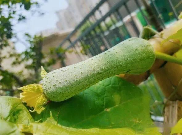 百千万吃瓜,揭秘娱乐圈幕后风云