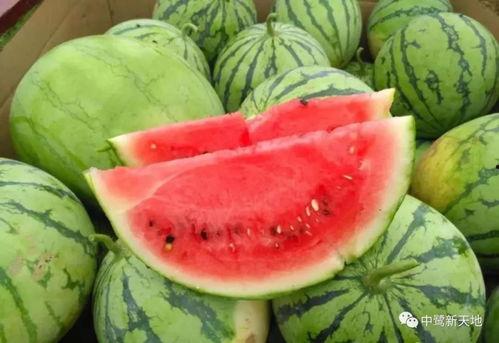 钢厂吃瓜,揭秘钢铁巨头背后的“吃瓜”故事