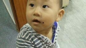 小林吃瓜全文,一场关于娱乐圈的狂欢盛宴