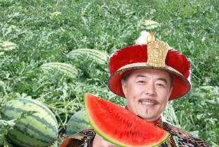 君王吃瓜,宫廷秘闻中的瓜田传奇
