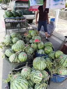 监利网红吃瓜事件,揭秘网络舆论的狂欢与反思