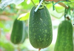 好信儿吃瓜,揭秘娱乐圈背后的那些事儿