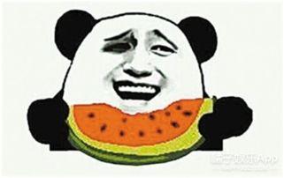 当有吃瓜的时候,吃瓜群众视角下的娱乐圈风云录