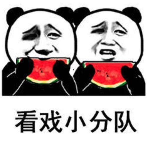 吃瓜表情包 女子,揭秘网络红人的魅力与争议