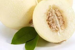 白玉瓜甜瓜怎么吃,白玉瓜甜瓜的多彩食法探索