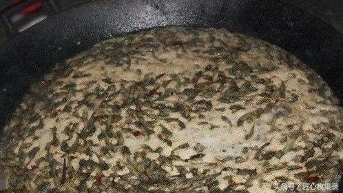 河北恶心吃瓜事件,网络暴力下的社会反思