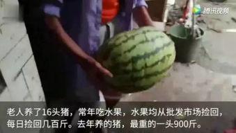吃瓜视频现在看,热门话题背后的真相与笑料