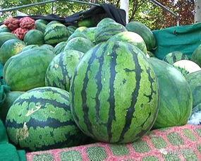 吃瓜与反瓜,网络舆论的双面镜