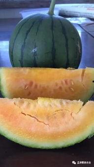 回家吃瓜啦,揭秘家庭温馨时光背后的甜蜜故事