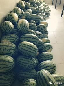 郑州工吃瓜,揭秘职场八卦背后的真相