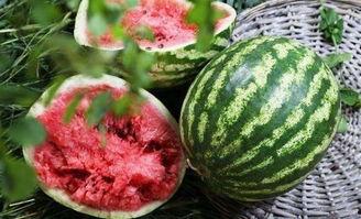 吃瓜 之前看过,那些年我们追过的热点事件