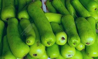 蒲瓜是田瓜吗怎么吃,一瓜多味，探索美味蒲瓜的多样吃法