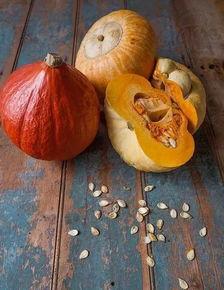 吃瓜没籽作者,一部轻松幽默的美食小说