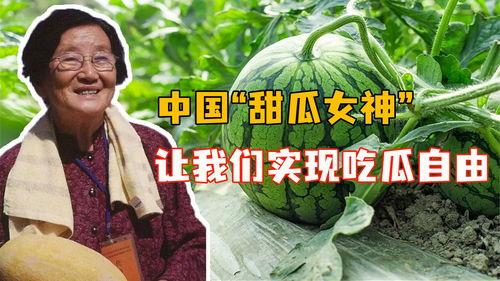 中国吃瓜事件,揭秘网络舆论场的狂欢与反思