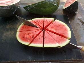 keke吃瓜,keke的瓜界传奇