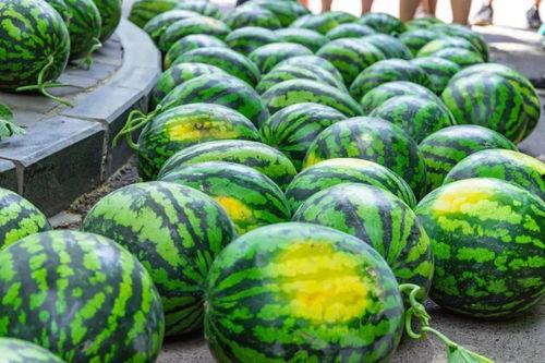 吃瓜站点,网络舆论场中的热点追踪与真相探寻