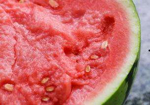 杭州中学吃瓜,一场吃瓜群众的美食探秘之旅