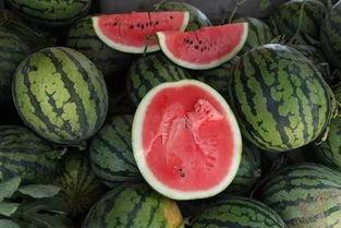 吃瓜得钱,揭秘“吃瓜得钱”的赚钱新潮流