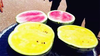 民间吃瓜爆料,那些你不知道的幕后故事与吃瓜瞬间