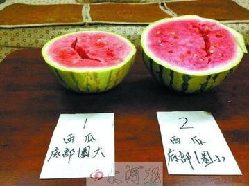 广州升学吃瓜圈,揭秘家长们的“吃瓜”日常与升学秘籍