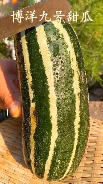 红瓜熟了怎么吃,美味食法大揭秘