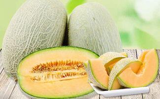 吃蜜瓜嗓子痒痒,揭秘甜蜜背后的隐患