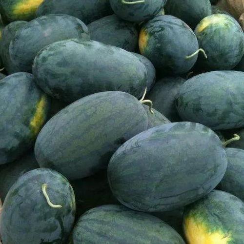 璐宝吃瓜小号,揭秘娱乐圈幕后故事