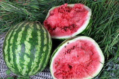 吃瓜去哪个地方,揭秘全国最佳吃瓜地点