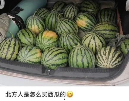 吃瓜的上海,吃瓜群众的美食之旅
