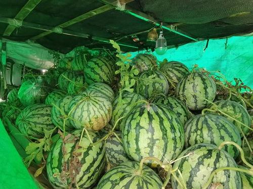 吃瓜网业,网络舆论场中的“瓜农”与“吃瓜群众”