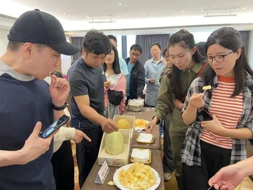 西昌疫情吃瓜,吃瓜群众视角下的防疫战记