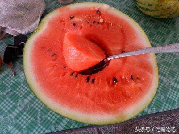 日本网友吃中国瓜