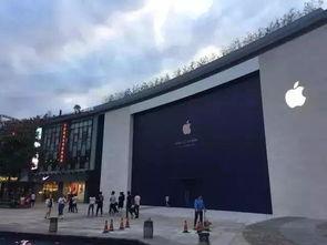 宁波广场吃瓜事件始末,一场意外引发的全民热议