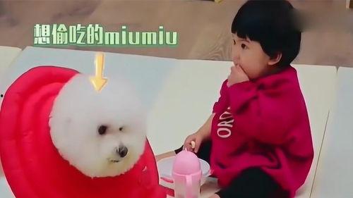 剪头发遇到吃瓜,趣味横生的一天