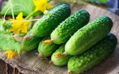 春吃果夏吃瓜,春果夏瓜，品味自然之韵