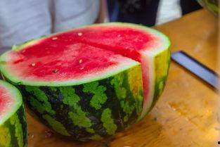 大渝吃瓜,揭秘重庆美食背后的故事与传奇