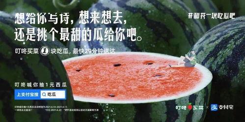 晚上吃瓜的文案,揭秘晚间吃瓜的快乐时光