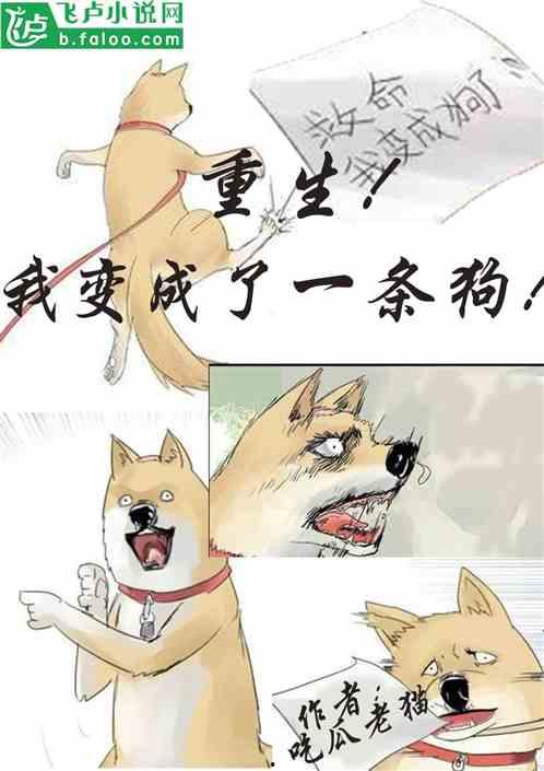 吃瓜世界小说下载,小说下载背后的精彩故事