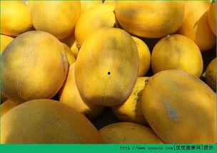 吃哈密瓜饱,一吃便饱，尽享甜蜜滋味