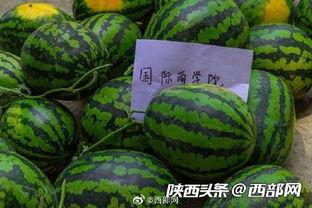 吃瓜学子,揭秘校园里的热点事件与幕后真相